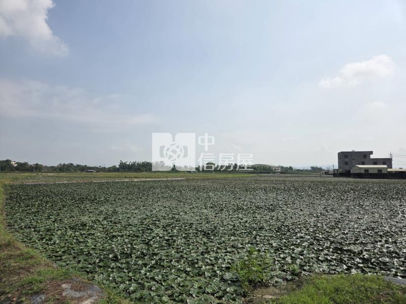 官田國中都內農地房屋室內格局與周邊環境