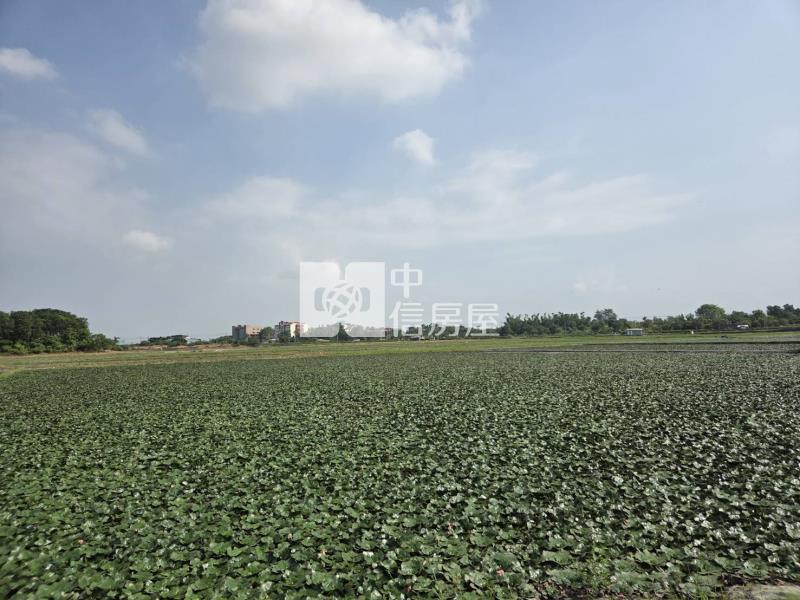 官田國中都內農地房屋室內格局與周邊環境