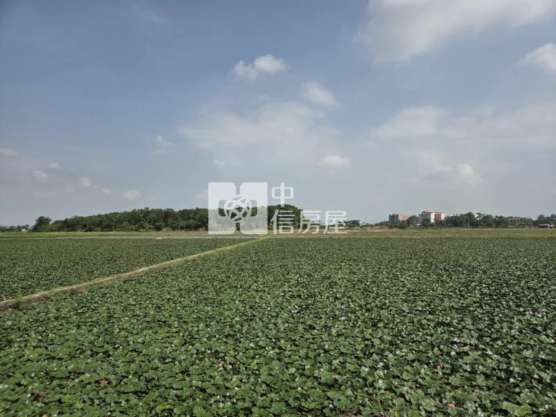 官田國中都內農地房屋室內格局與周邊環境