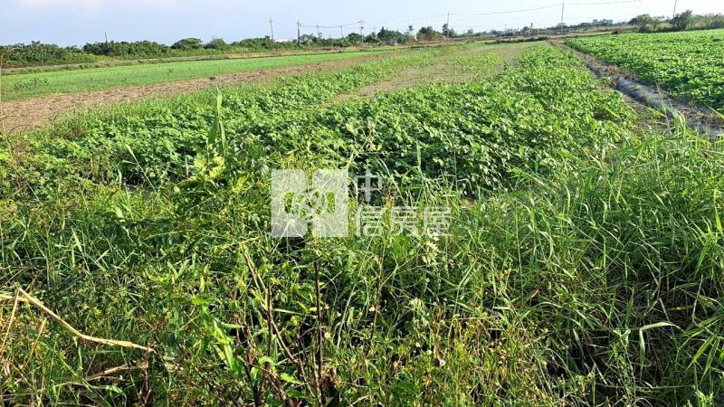 11份小弄弄優質農地房屋室內格局與周邊環境