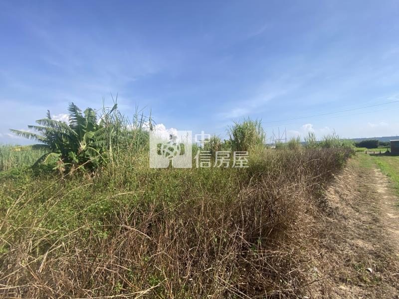 【安家】楊梅四湖段美農地房屋室內格局與周邊環境