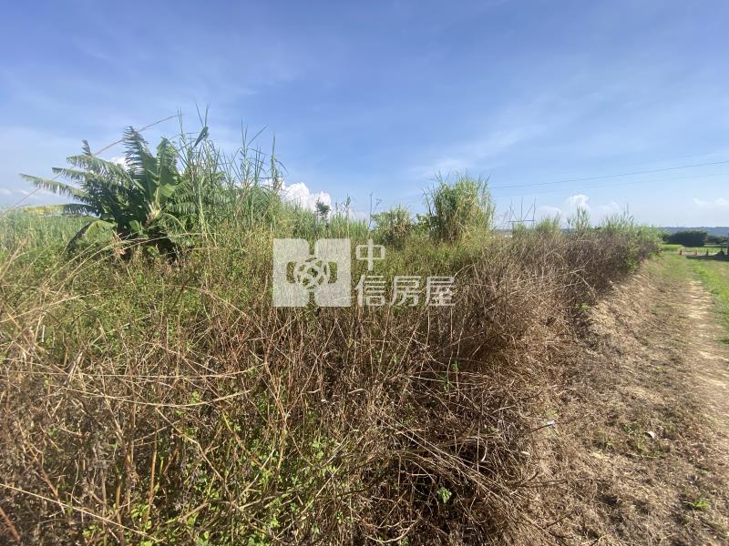 【安家】楊梅四湖段美農地房屋室內格局與周邊環境