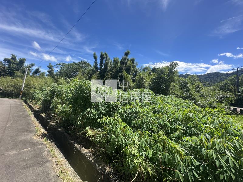 大溪順和路農地房屋室內格局與周邊環境