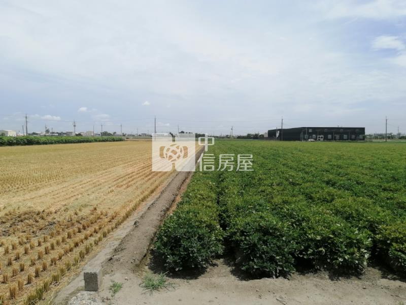 雲林斗南交流道都內農房屋室內格局與周邊環境