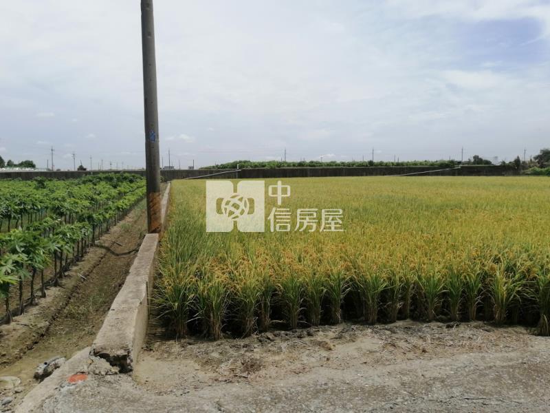 雲林斗南交流道都內農房屋室內格局與周邊環境