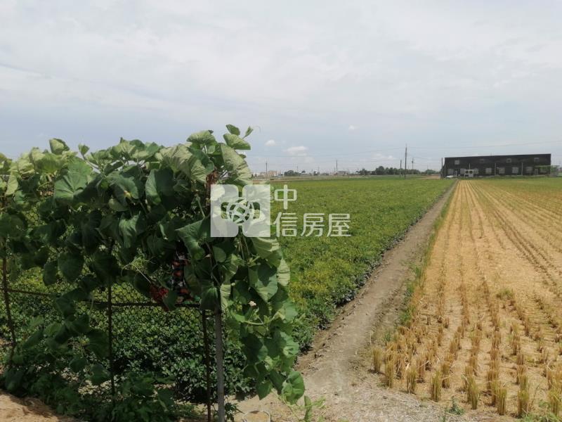 雲林斗南交流道都內農房屋室內格局與周邊環境