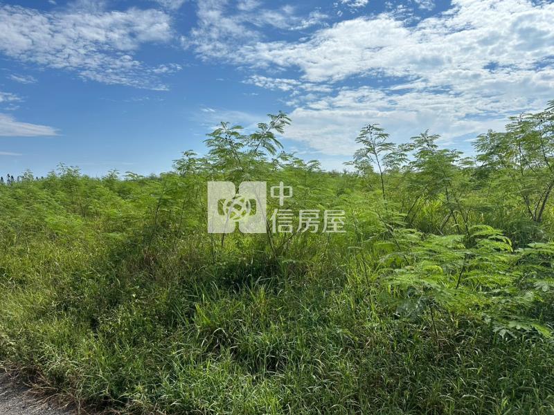 白沙鎮海新段273坪農地房屋室內格局與周邊環境