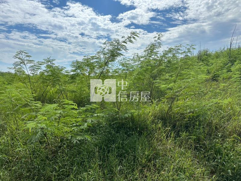 白沙鎮海新段273坪農地房屋室內格局與周邊環境