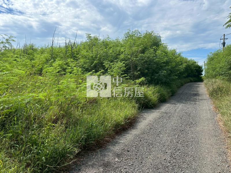 白沙鎮海新段273坪農地房屋室內格局與周邊環境
