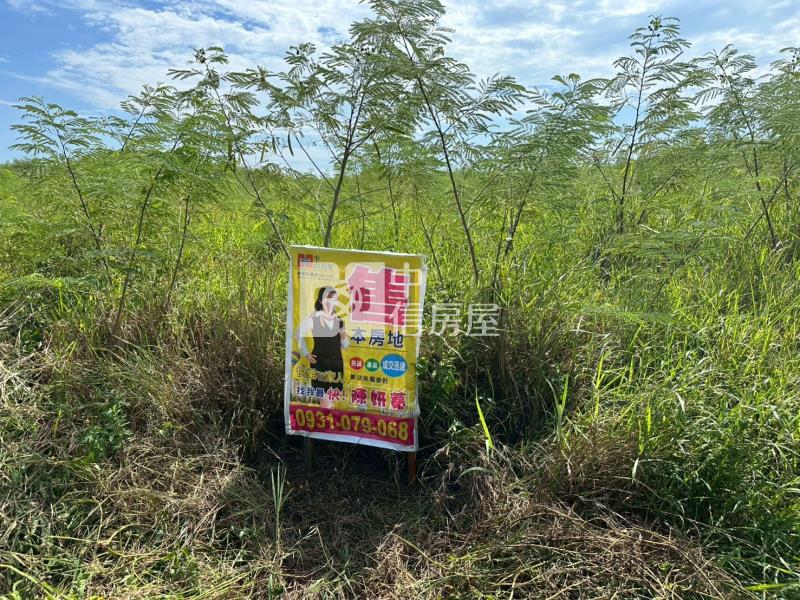 白沙鎮海新段273坪農地房屋室內格局與周邊環境