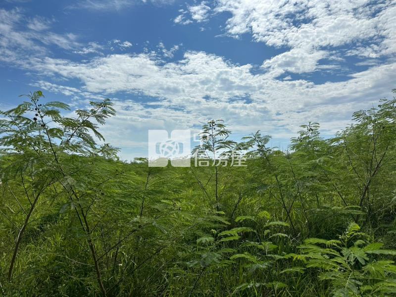 白沙鎮海新段273坪農地房屋室內格局與周邊環境