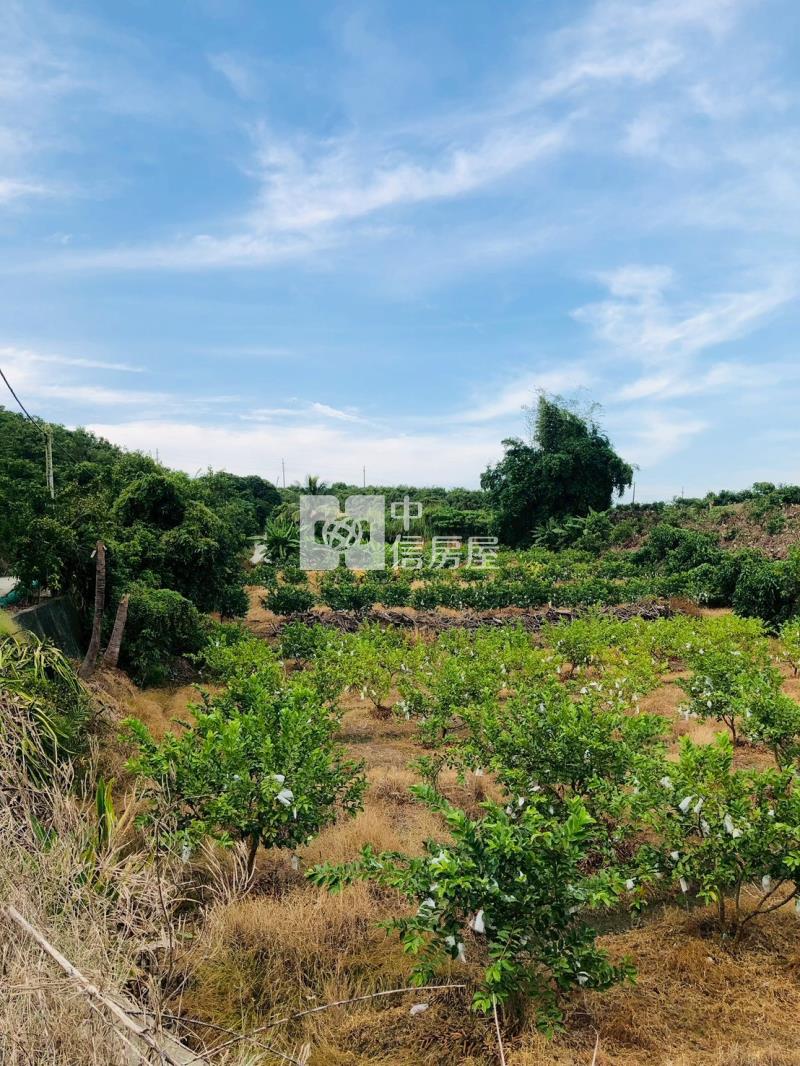 玉井九層林二甲老欉芒果園房屋室內格局與周邊環境