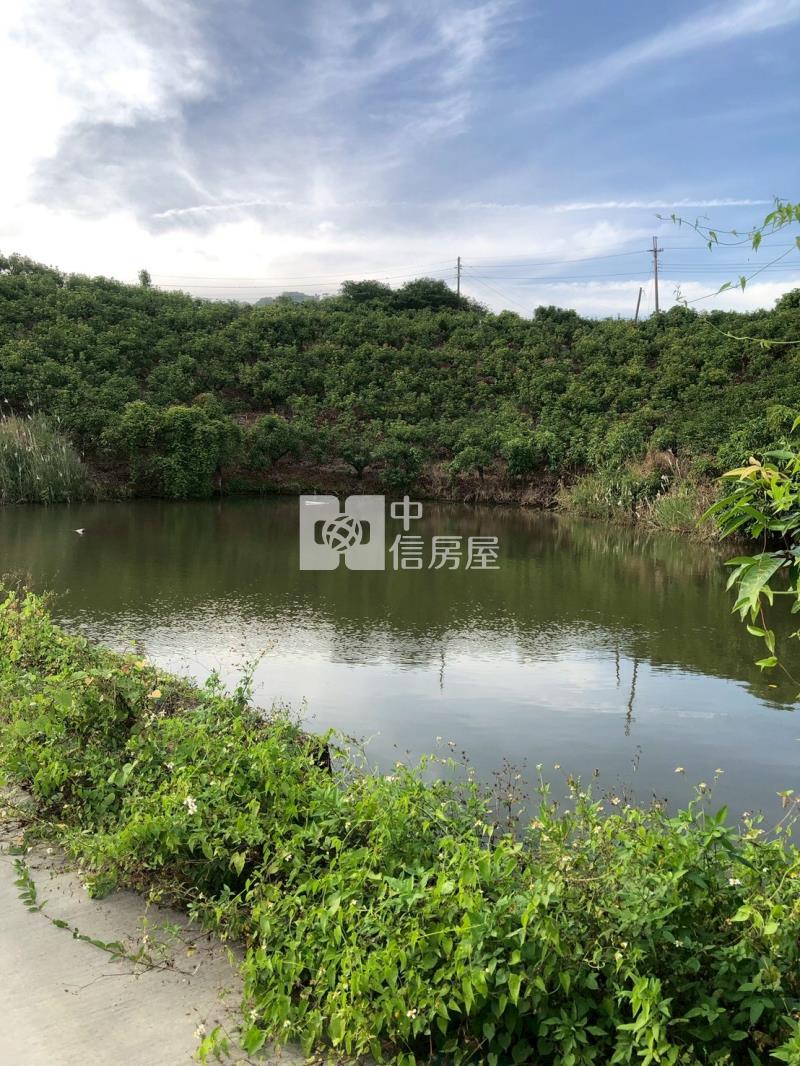 玉井九層林二甲老欉芒果園房屋室內格局與周邊環境