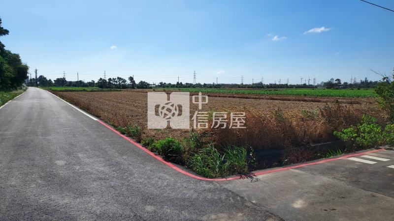 近66武威 雙面路農地房屋室內格局與周邊環境