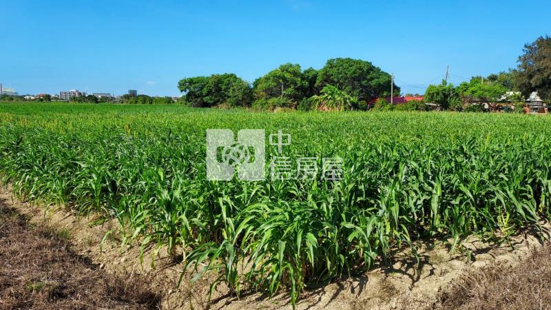 近66武威 雙面路農地房屋室內格局與周邊環境