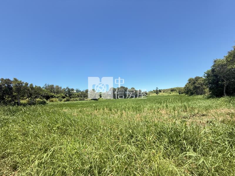 新屋台61旁交通用地房屋室內格局與周邊環境