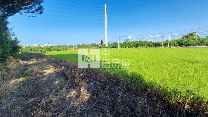 永安國小 農+建 雙面路房屋室內格局與周邊環境