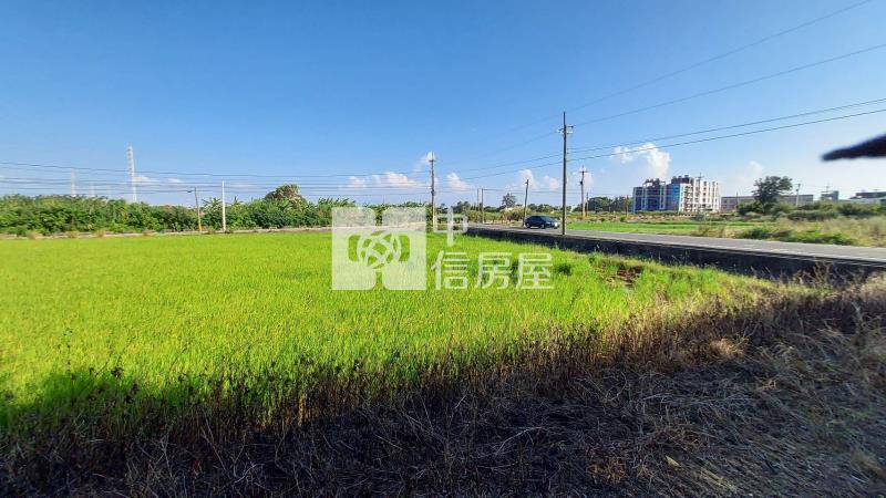 永安國小 農+建 雙面路房屋室內格局與周邊環境