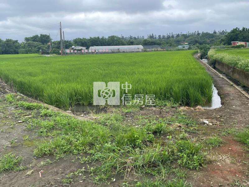 專-近龍岡圓環建安農地房屋室內格局與周邊環境