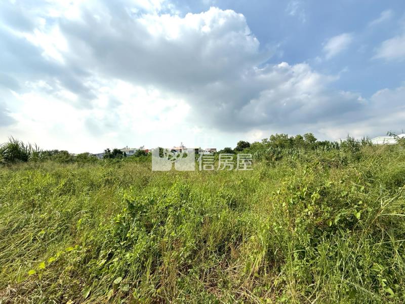 關廟五甲段2.4分農地房屋室內格局與周邊環境