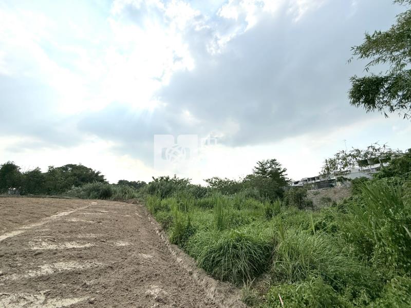關廟五甲段2.4分農地房屋室內格局與周邊環境