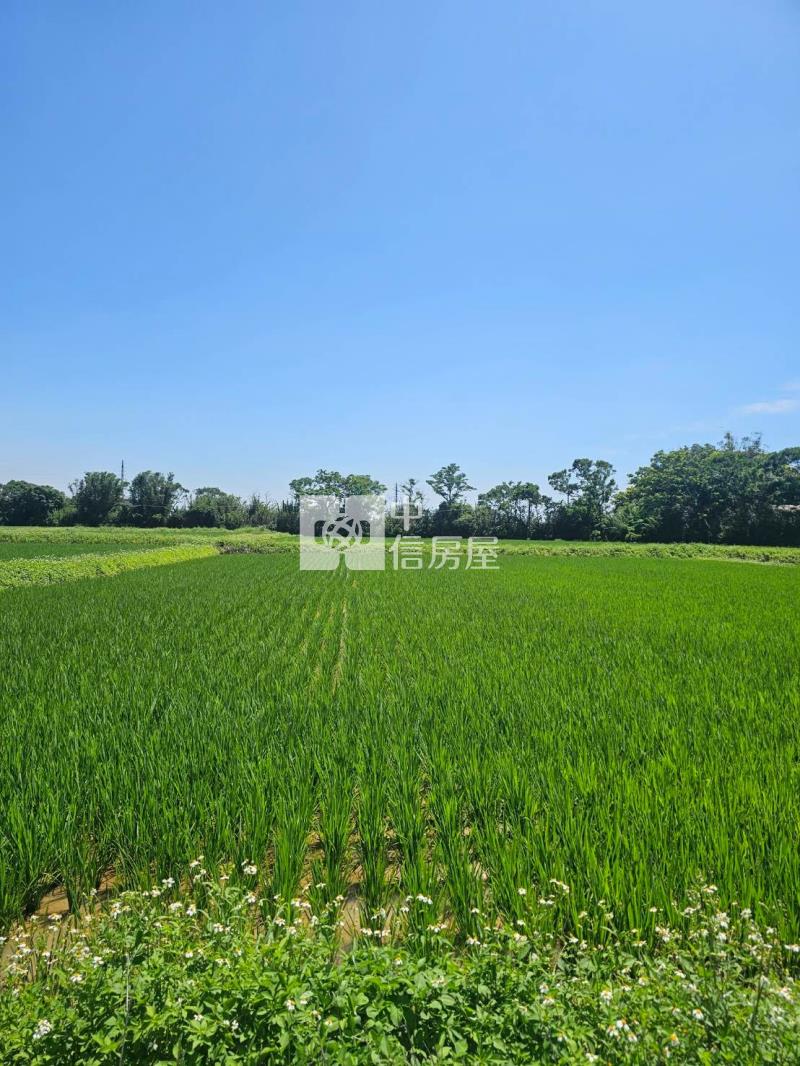 近新屋市區農保地2筆{可分買}房屋室內格局與周邊環境