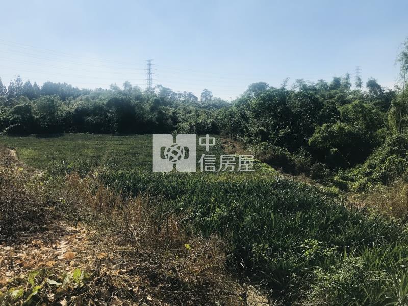 關廟1.17分農牧用地房屋室內格局與周邊環境