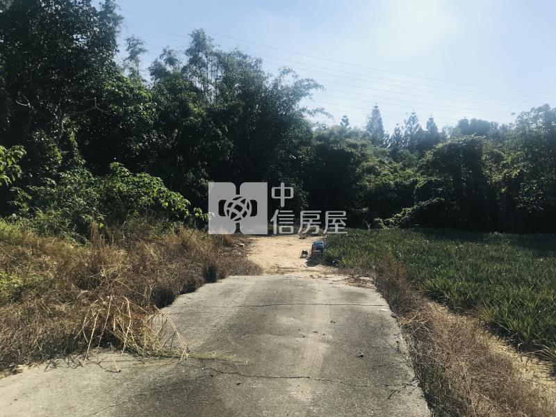 關廟1.17分農牧用地房屋室內格局與周邊環境