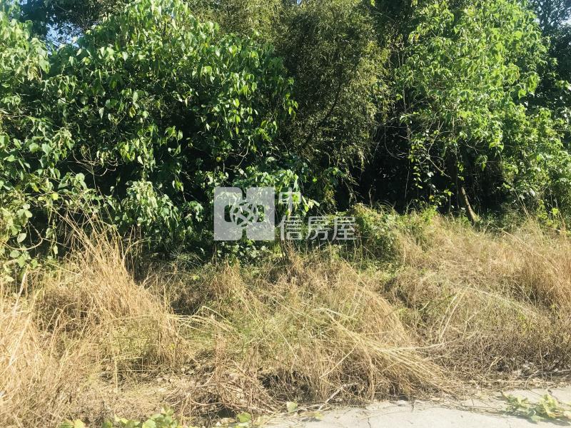 關廟1.17分農牧用地房屋室內格局與周邊環境