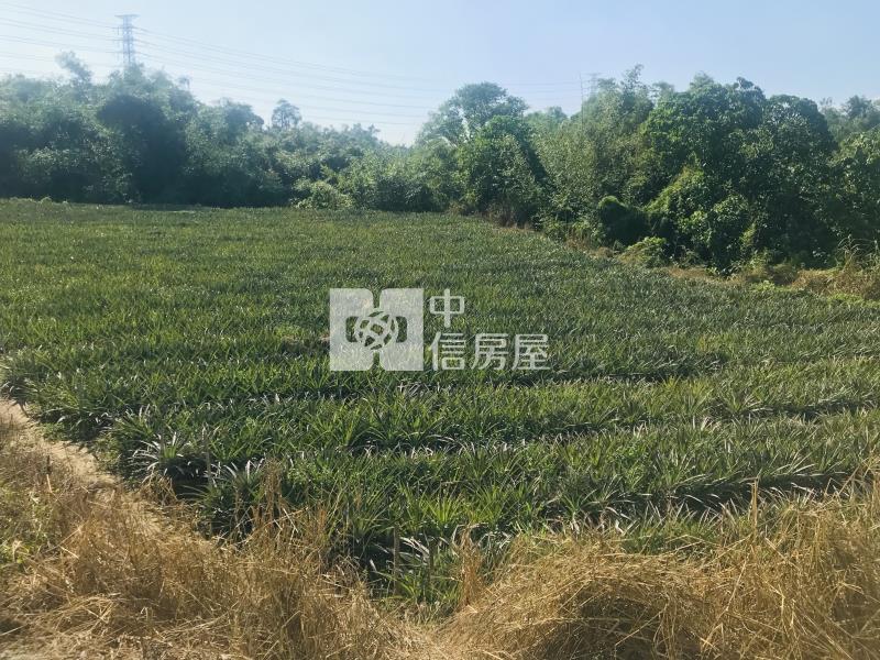 關廟1.17分農牧用地房屋室內格局與周邊環境