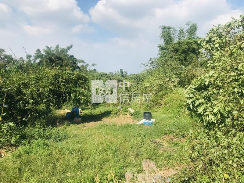 關廟1.17分農牧用地房屋室內格局與周邊環境