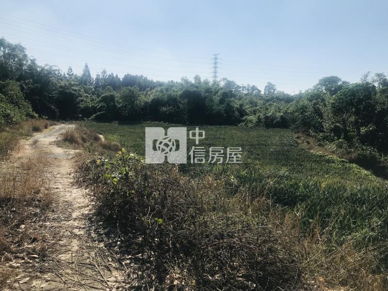 關廟1.17分農牧用地房屋室內格局與周邊環境