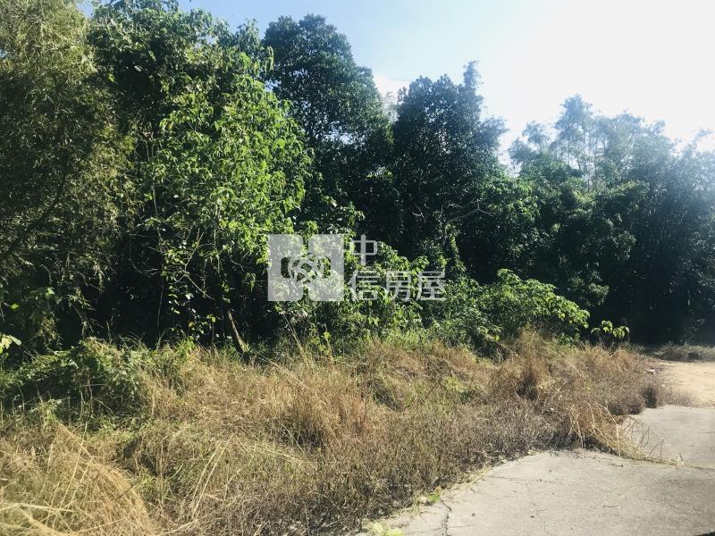 關廟1.17分農牧用地房屋室內格局與周邊環境