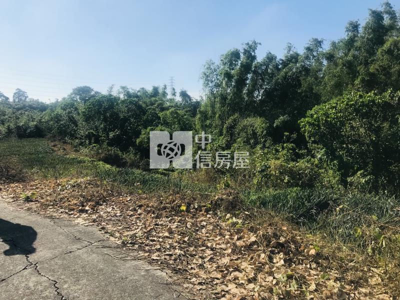 關廟1.17分農牧用地房屋室內格局與周邊環境