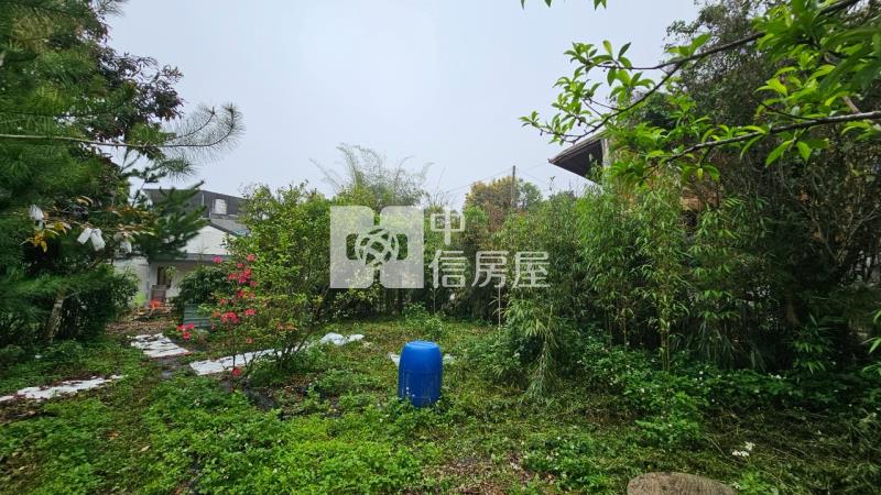 新社買地送屋超大地坪含甲建房屋室內格局與周邊環境