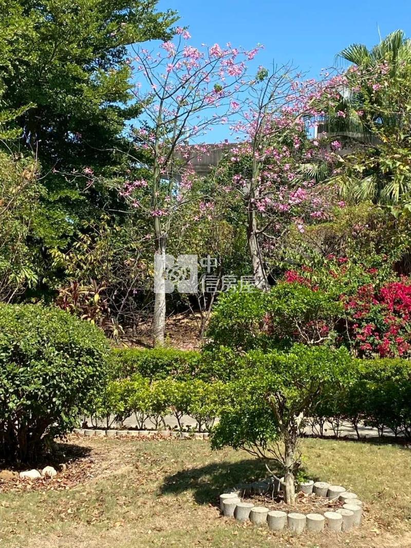 近蓮園豪華農舍房屋室內格局與周邊環境