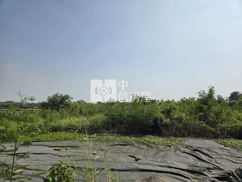 土城高中可分割出售都內農地房屋室內格局與周邊環境