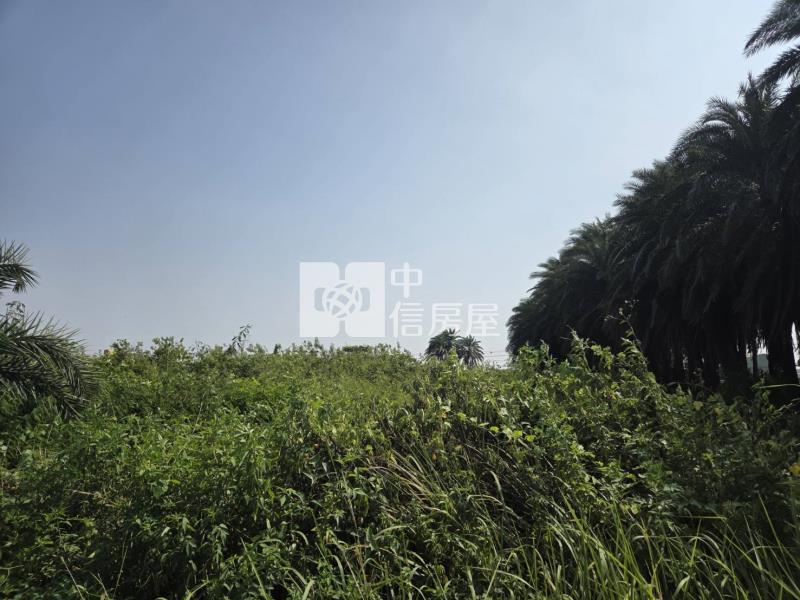 土城高中可分割出售都內農地房屋室內格局與周邊環境