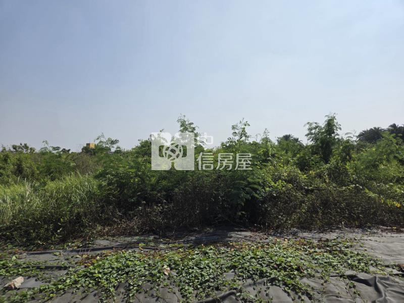 土城高中可分割出售都內農地房屋室內格局與周邊環境