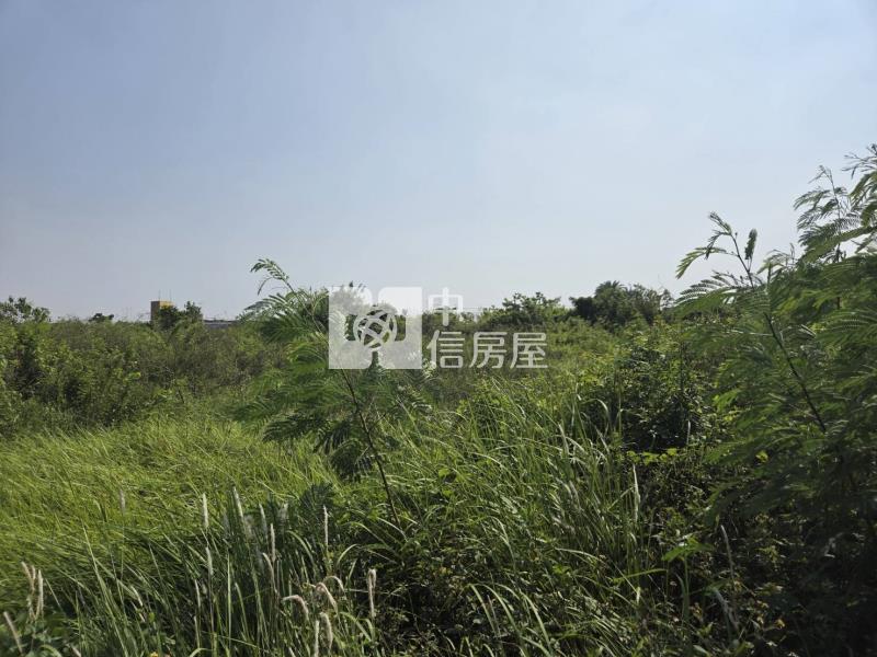 土城高中可分割出售都內農地房屋室內格局與周邊環境