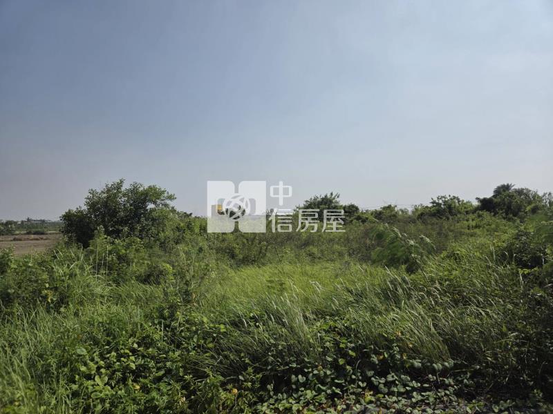 土城高中可分割出售都內農地房屋室內格局與周邊環境