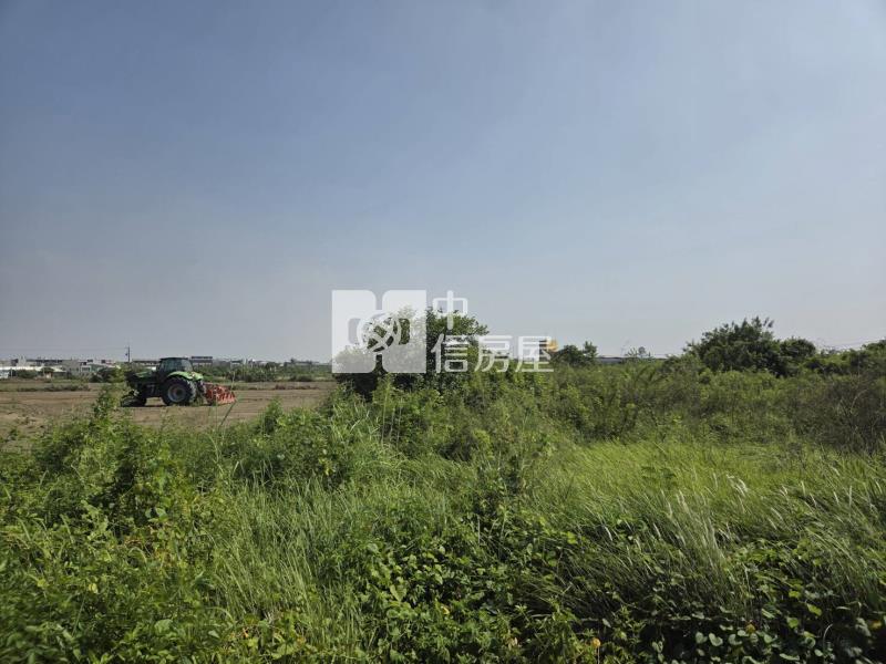 土城高中可分割出售都內農地房屋室內格局與周邊環境