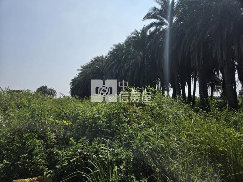 土城高中可分割出售都內農地房屋室內格局與周邊環境