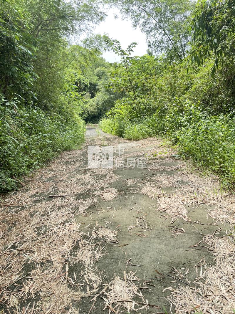 台南龍崎資產,農保優良農地房屋室內格局與周邊環境