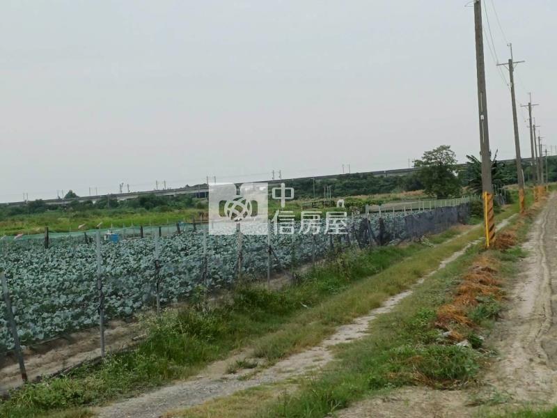 樹人醫專934坪農地房屋室內格局與周邊環境