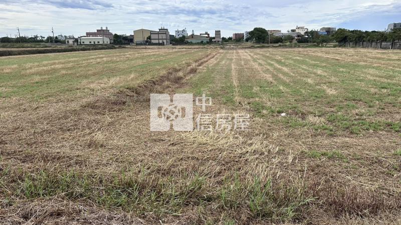 月桃路二段美農地房屋室內格局與周邊環境
