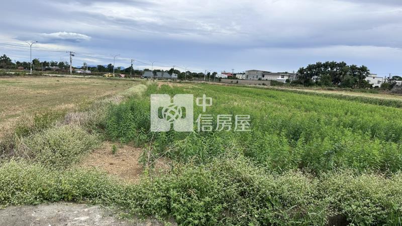 月桃路二段美農地房屋室內格局與周邊環境