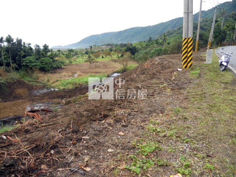 花蓮壽豐鄉5034坪農地房屋室內格局與周邊環境