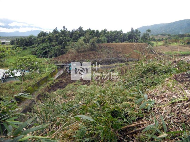 花蓮壽豐鄉5034坪農地房屋室內格局與周邊環境