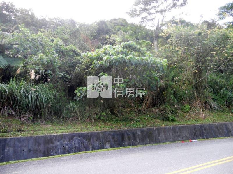 花蓮壽豐鄉5034坪農地房屋室內格局與周邊環境